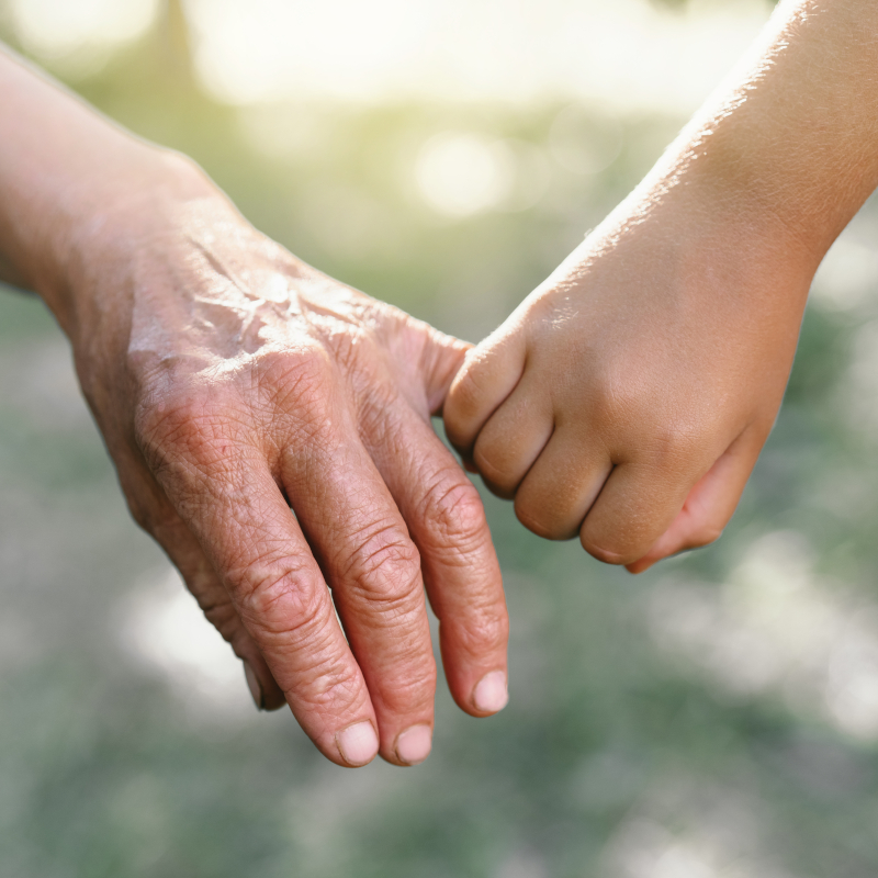 Guardianship